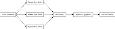 Understanding suicidal ideation disparity between sexual minority and heterosexual Chinese young men: a multiple mediation model of social support sources, self-esteem, and depressive symptoms